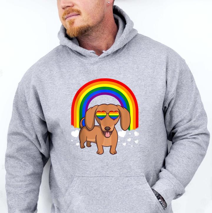 Dachshund Dog Rainbow Hoodie